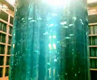 Illustration for article titled Aquadom Is Largest Cylindrical Aquarium on the Planet
